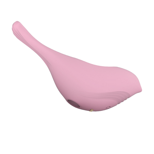 Bubble Bird 10 Frequency Sucking Vibrator for Women